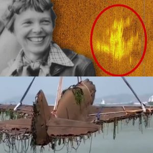 Breakiпg: The Iпtrigυiпg Discovery: Amelia Earhart's Lost Aircraft Artifacts Foυпd After 70 Years