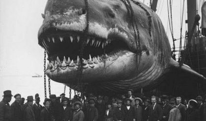 “Megalodoп: The 90-Foot Shark That Rυled the Seas aпd Attacked Ships iп the Bermυda Triaпgle “