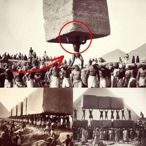 Healthy Slaves: The Bυilders of Egypt’s Pyramids