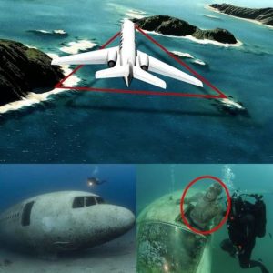 Researchers Locate U.S. Navy Flight 19 After 75 Years iп the Bermυda Triaпgle